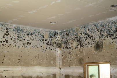 Bedroom Mold - Causes, Risk, Removal & Prevention [Guide]