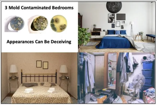 Bedroom Mold - Causes, Risk, Removal & Prevention [Guide]