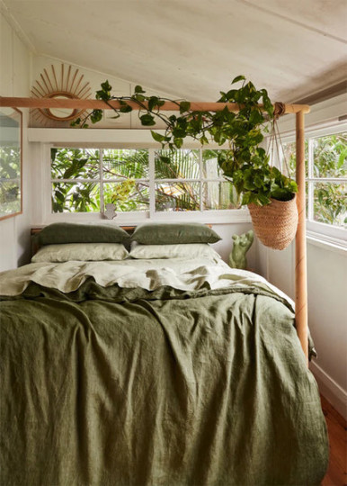 Best Plants To Transform Your Bedroom Into a Sanctuary – Bed Threads