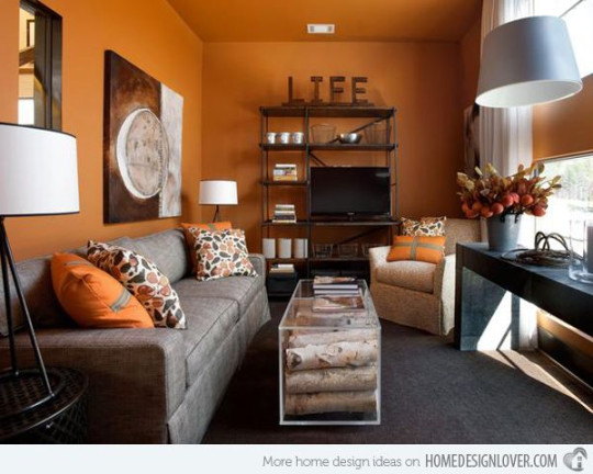 Close to Fruity Orange Living Room Designs  Home Design Lover