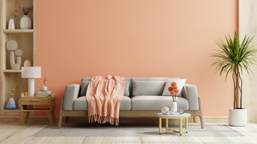 Color of the Year: Peach Fuzz Home Decor  The Providence Group