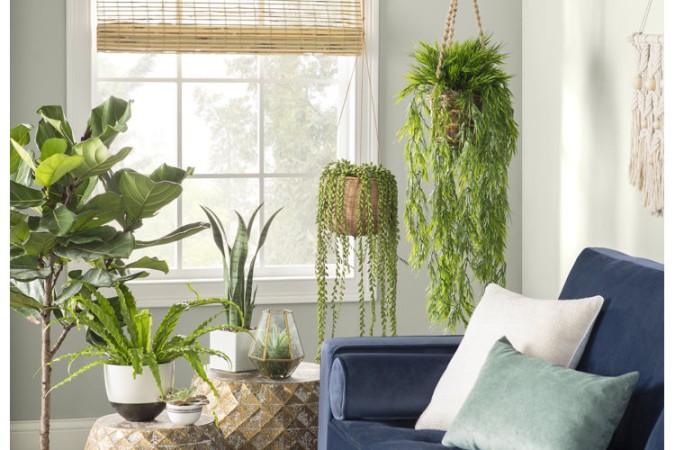 Decorating With Plants: How to Style Plants for a Stunning Display