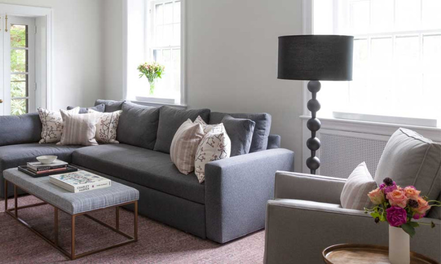 Gray Couch Living Room Ideas from Pro Designers