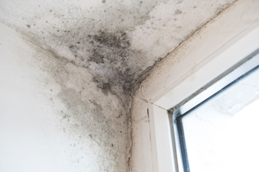 How To Prevent Mould In A Bedroom