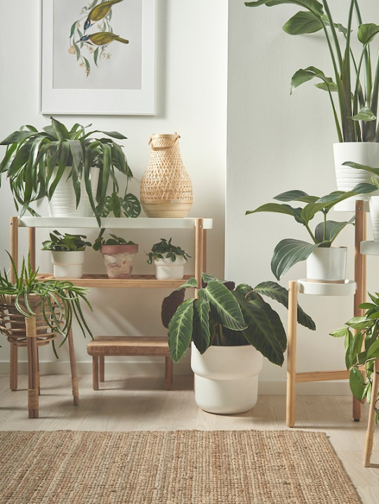 Interior decorating tips using indoor plant decor - IKEA  IKEA