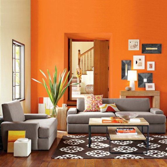 Orange Living Room Ideas (Photos)