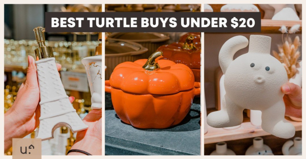 Turtle Flagship Store:  Cutest Home Decor Buys Under $