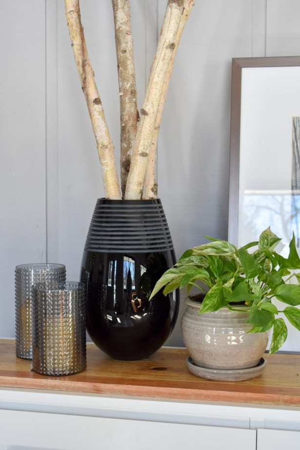 Ways to use Indoor Plants in your Home Decor - Home with Holliday